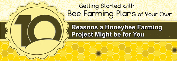 Bee Farming